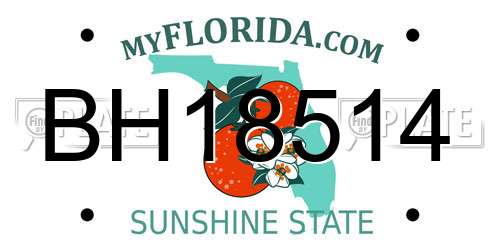 BH18514 Florida License Plate