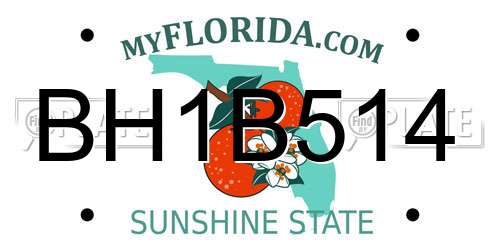 BH1B514 Florida License Plate