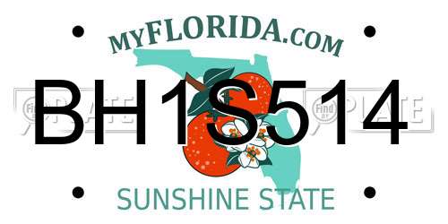 BH1S514 Florida License Plate