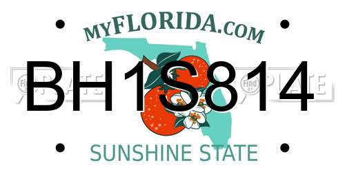 BH1S814 Florida License Plate