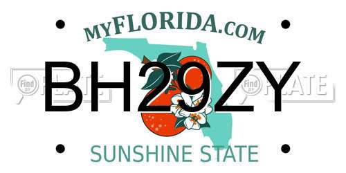 BH29ZY Florida License Plate