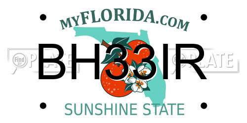 BH33IR Florida License Plate