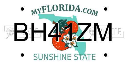 BH41ZM Florida License Plate