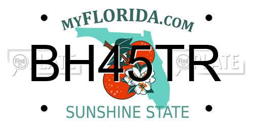 BH45TR Florida License Plate
