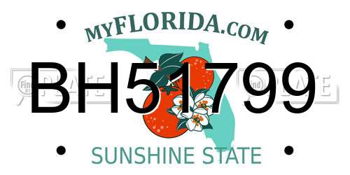 BH51799 Florida License Plate