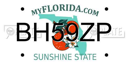 BH59ZP Florida License Plate