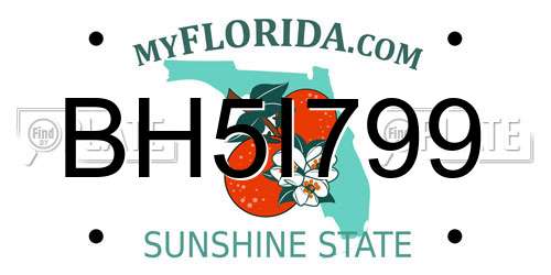 BH5I799 Florida License Plate