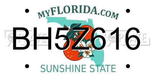 BH5Z616 Florida License Plate