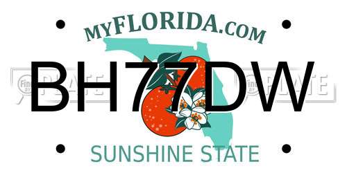 BH77DW Florida License Plate