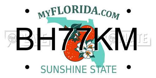 BH77KM Florida License Plate
