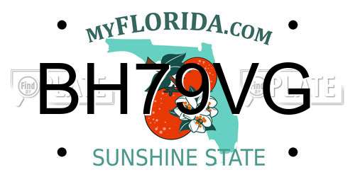 BH79VG Florida License Plate