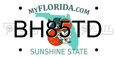 BH85TD Florida License Plate