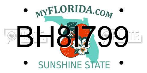 BH8I799 Florida License Plate