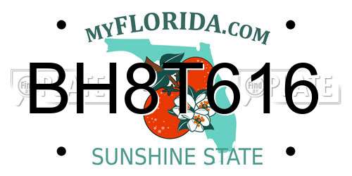 BH8T616 Florida License Plate