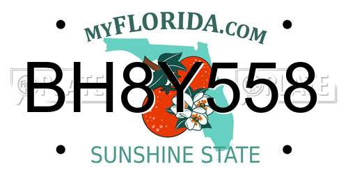 BH8Y558 Florida License Plate