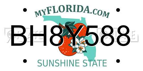 BH8Y588 Florida License Plate