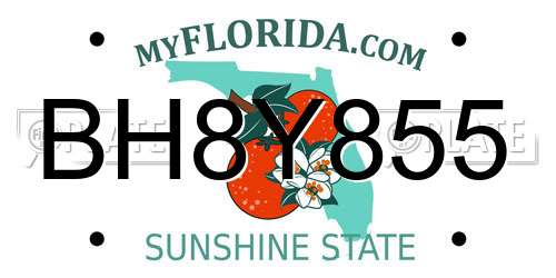 BH8Y855 Florida License Plate