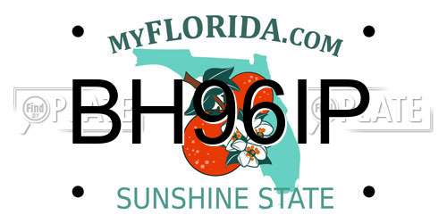 BH96IP Florida License Plate