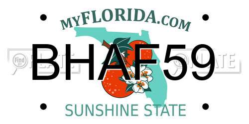 BHAF59 Florida License Plate