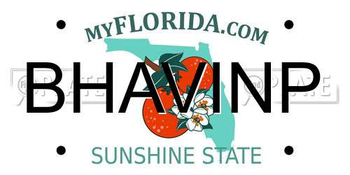 BHAVINP Florida License Plate