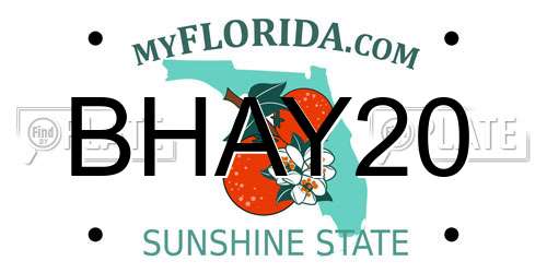 BHAY20 Florida License Plate