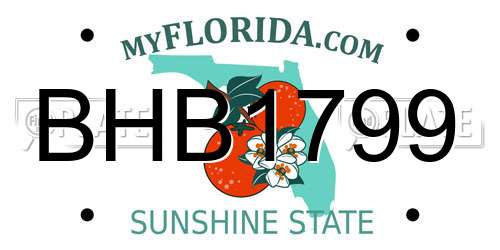 BHB1799 Florida License Plate