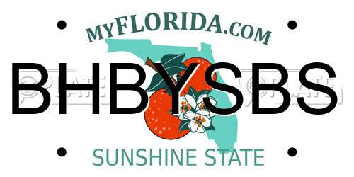 BHBYSBS Florida License Plate