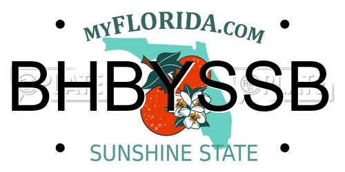 BHBYSSB Florida License Plate
