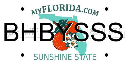 BHBYSSS Florida License Plate