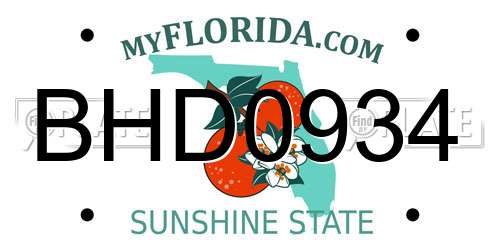 BHD0934 Florida License Plate