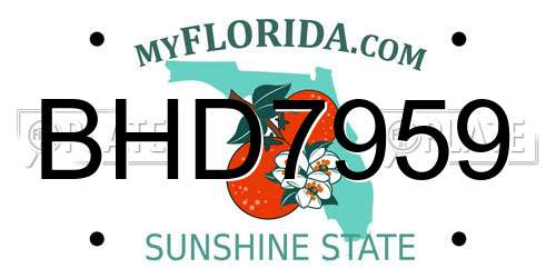 BHD7959 Florida License Plate