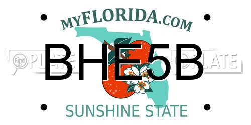 BHE5B Florida License Plate