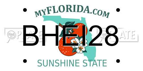 BHEI28 Florida License Plate