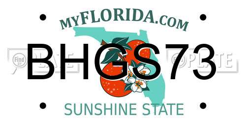 BHGS73 Florida License Plate
