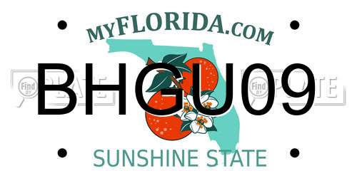 BHGU09 Florida License Plate