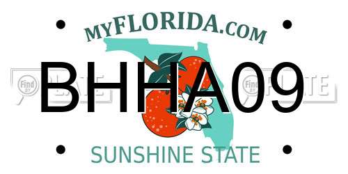 BHHA09 Florida License Plate