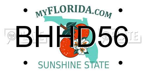 BHHD56 Florida License Plate