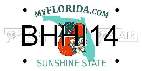 BHHI14 Florida License Plate