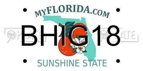 BHIG18 Florida License Plate