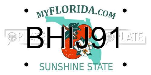 BHIJ91 Florida License Plate