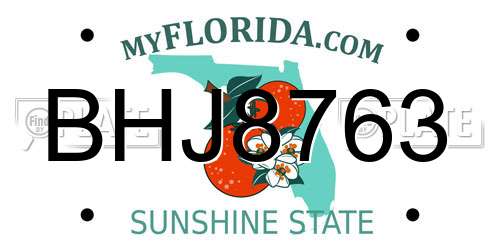 BHJ8763 Florida License Plate