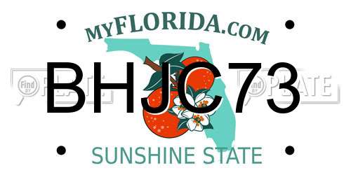 BHJC73 Florida License Plate