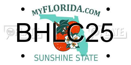 BHLC25 Florida License Plate