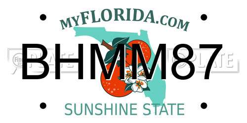 BHMM87 Florida License Plate