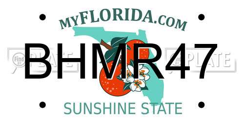 BHMR47 Florida License Plate