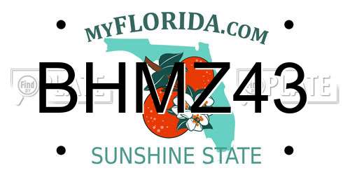 BHMZ43 Florida License Plate