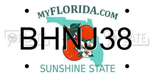 BHNJ38 Florida License Plate