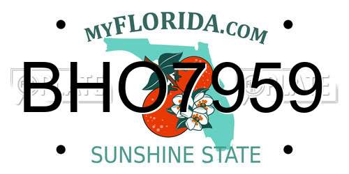 BHO7959 Florida License Plate