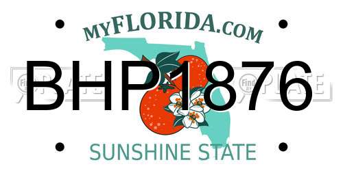 BHP1876 Florida License Plate