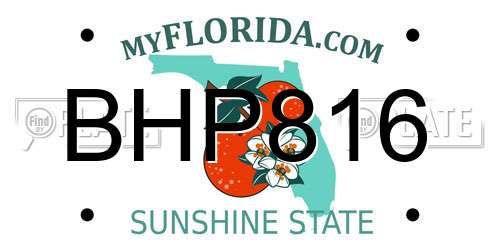 BHP816 Florida License Plate